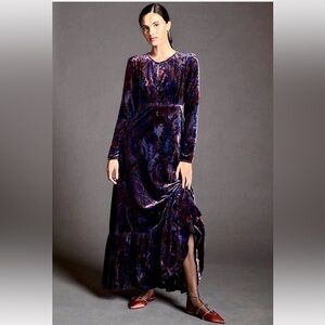 Anthropologie Brand Burnout Velvet Maxi Dress by Sz 8 Beautiful & Rare NWT